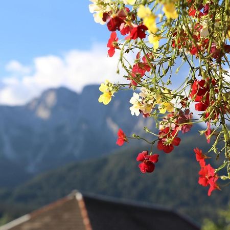 Fewo Baurechthof Goderschach Kültér fotó